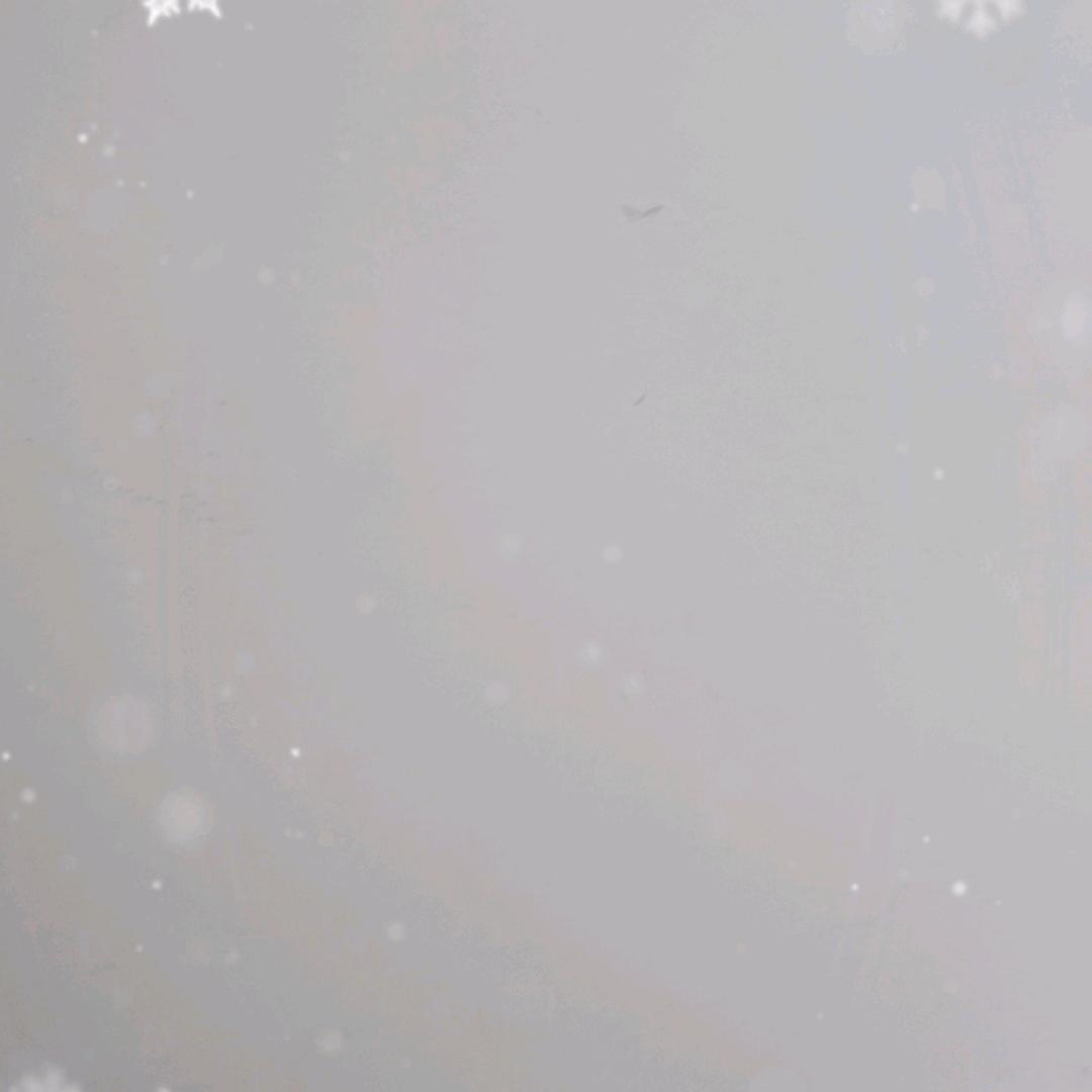 海龙