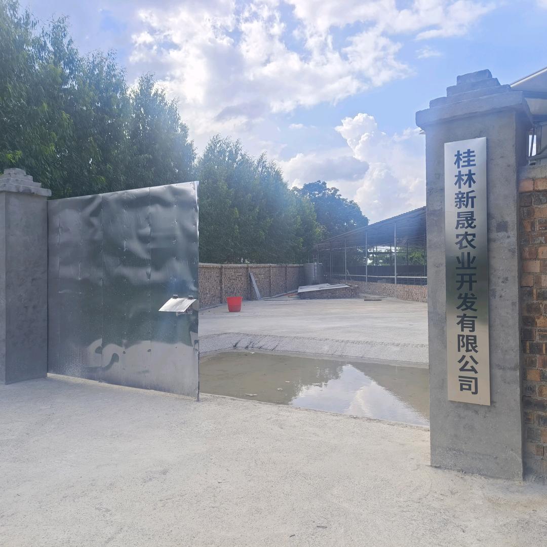 huangzhongting19