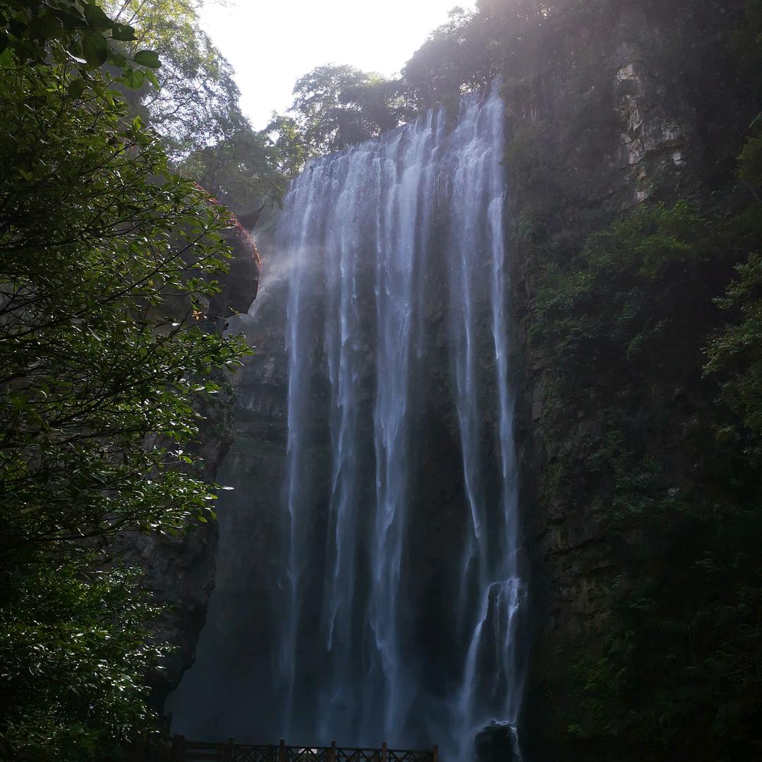 沙漠之鹰头像
