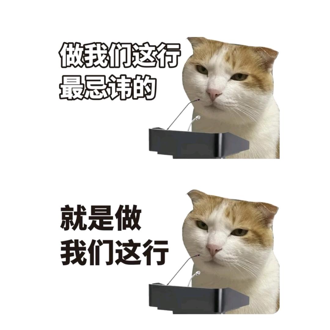 ngo