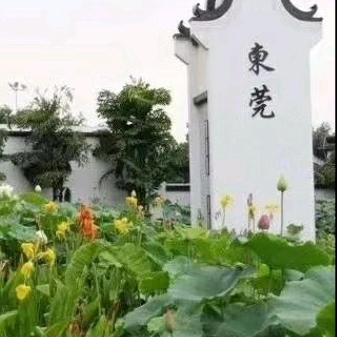嗨