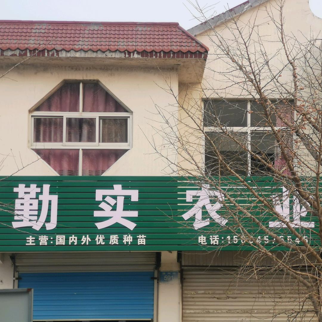 勤实农业秦国霞