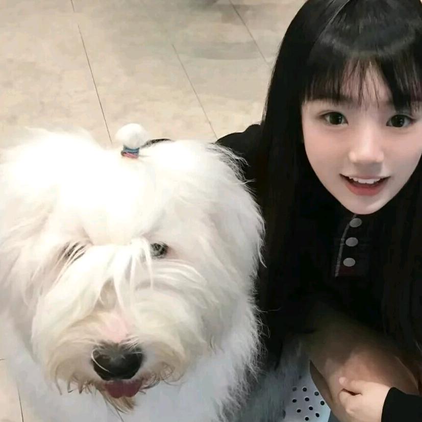 时尚唯美好物