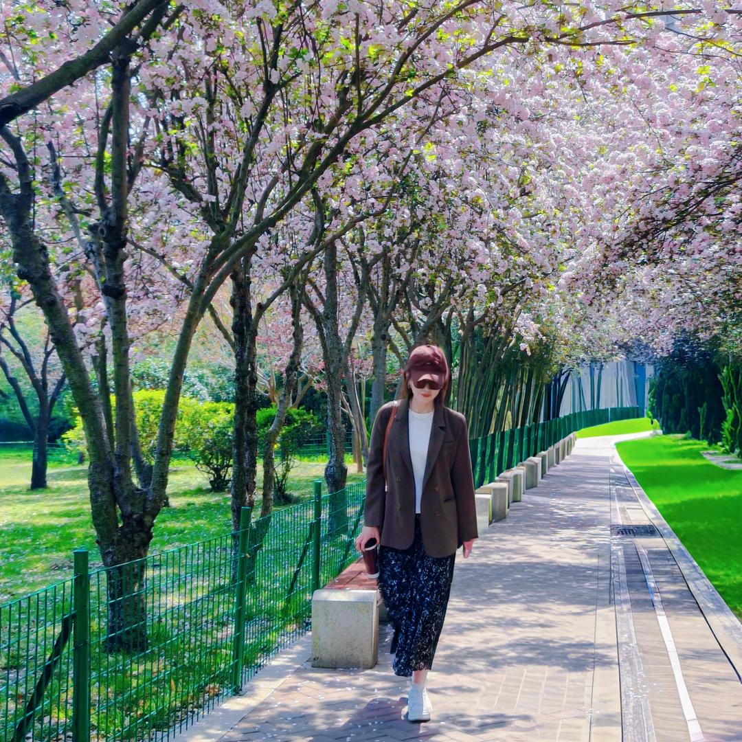 太阳的小葵花🌻