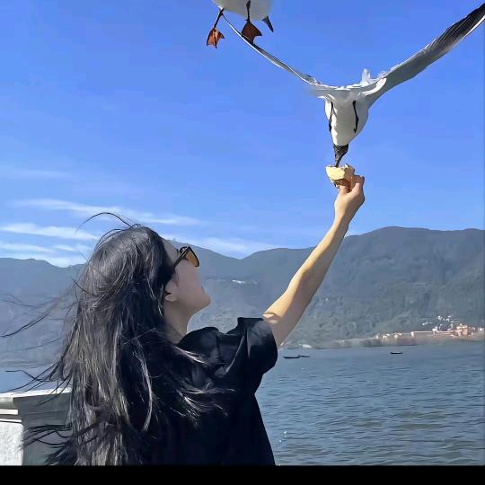 楚小青