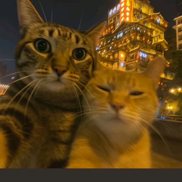 万年一锅菜田