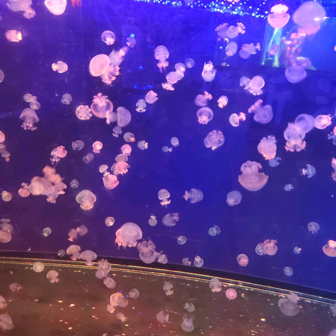 🍖微笑向暖🌺