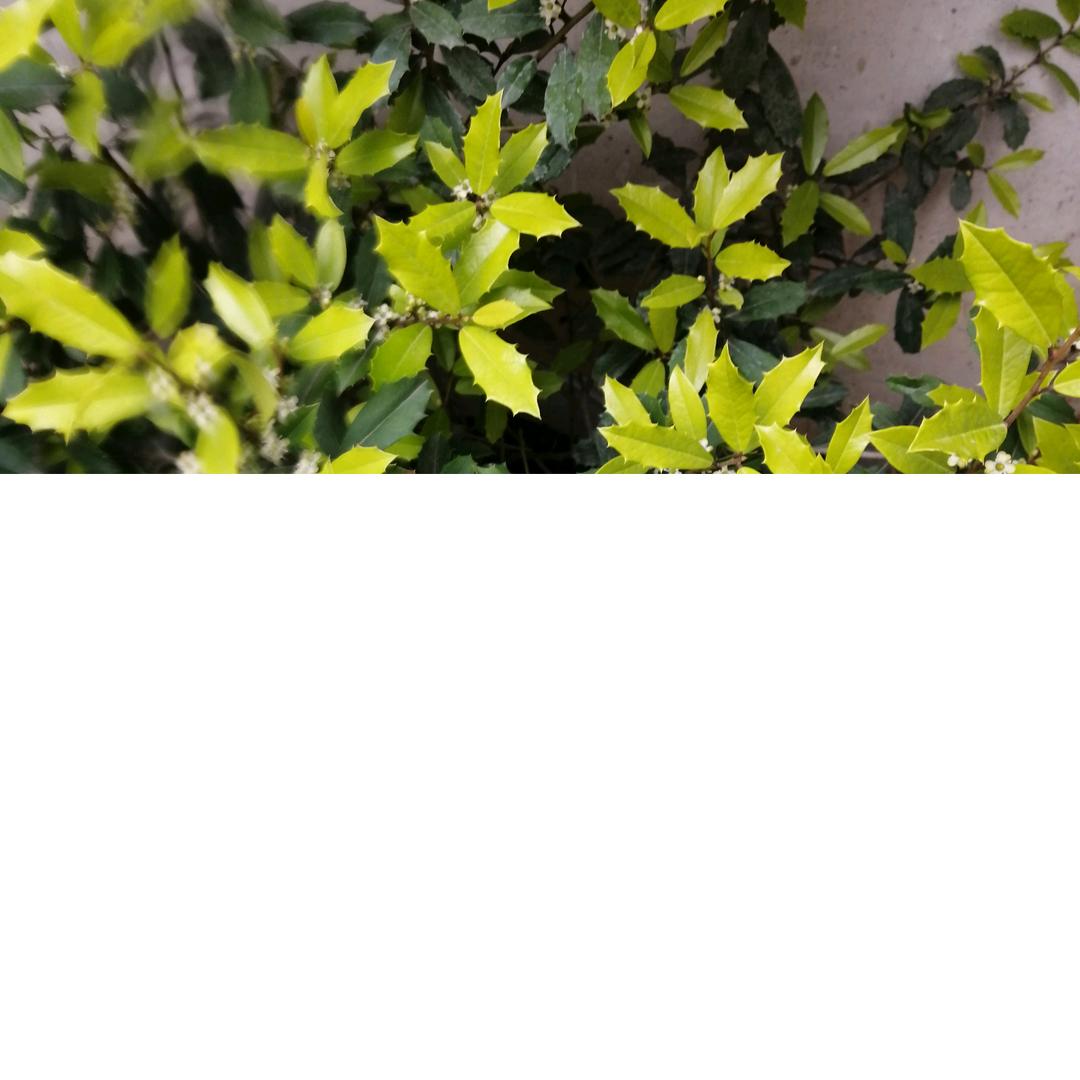 用户7236993056269