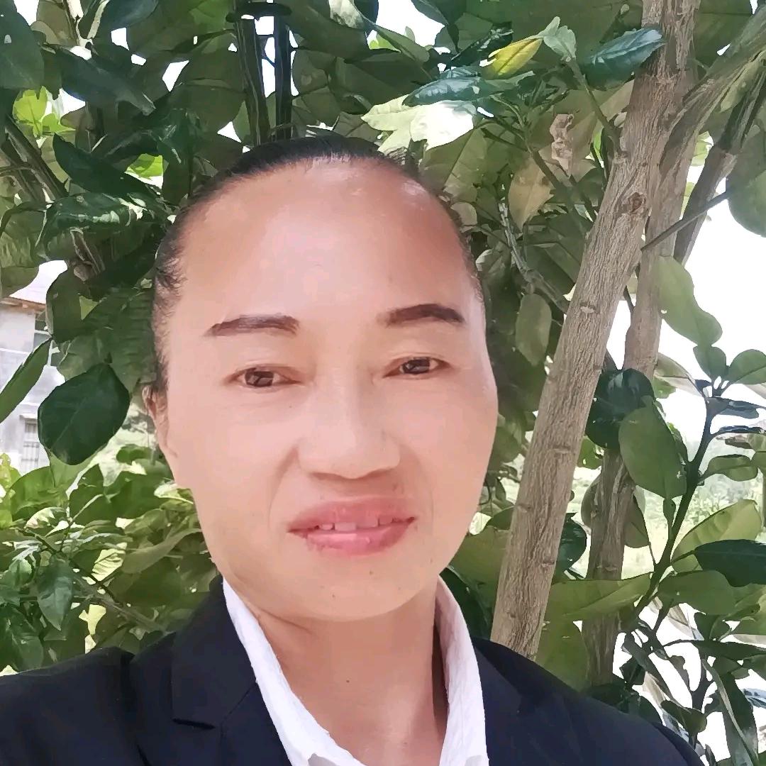 九天揽月下午六点半开播