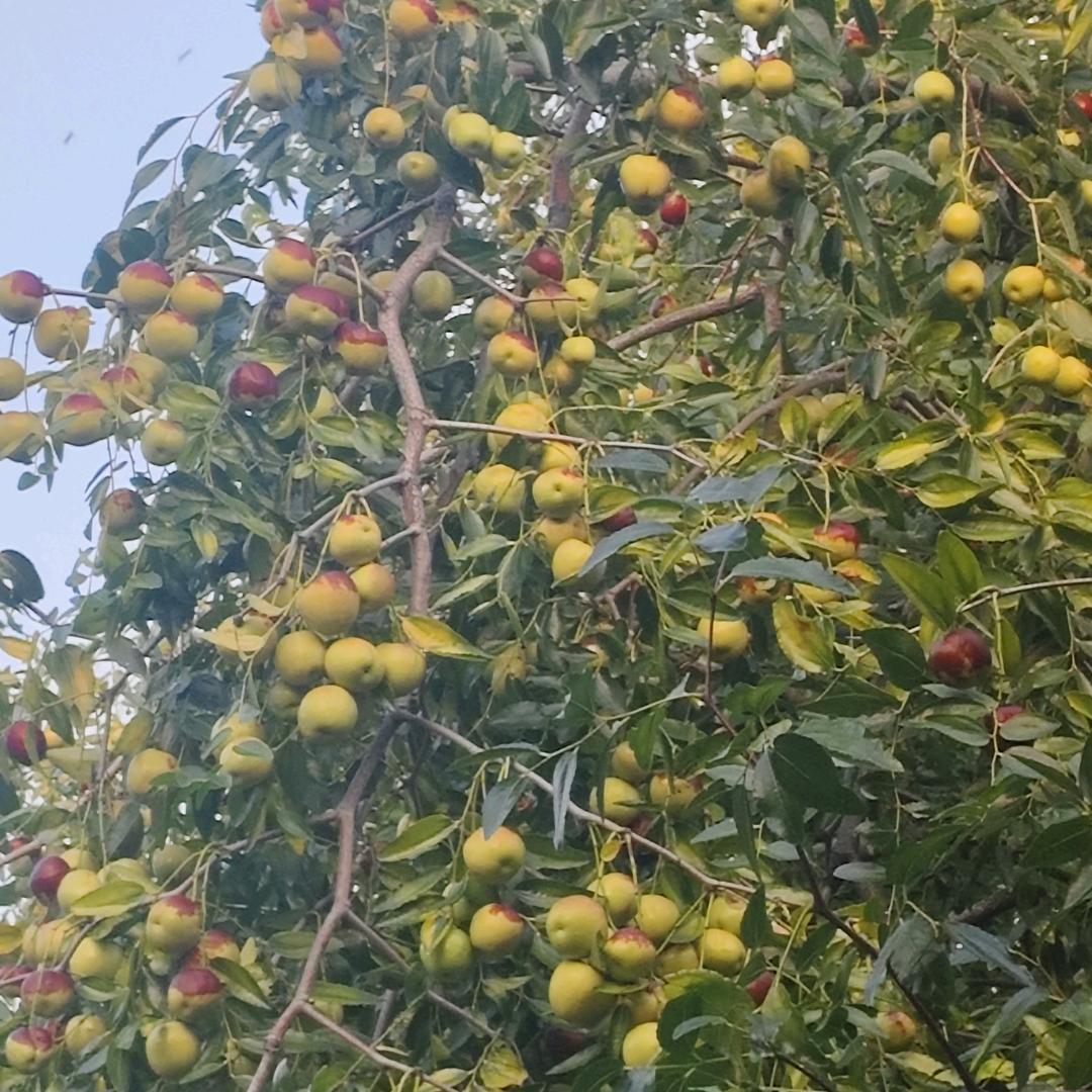 永恒时光
