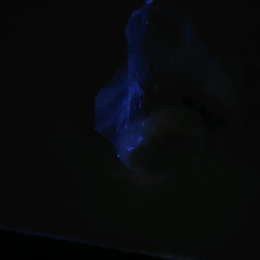 cys头像