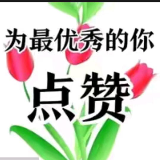 随心舞动