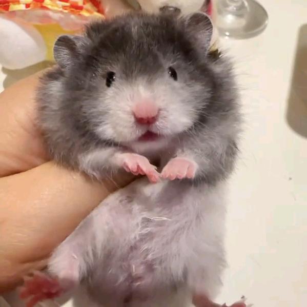 🎏幸福很简单🎀