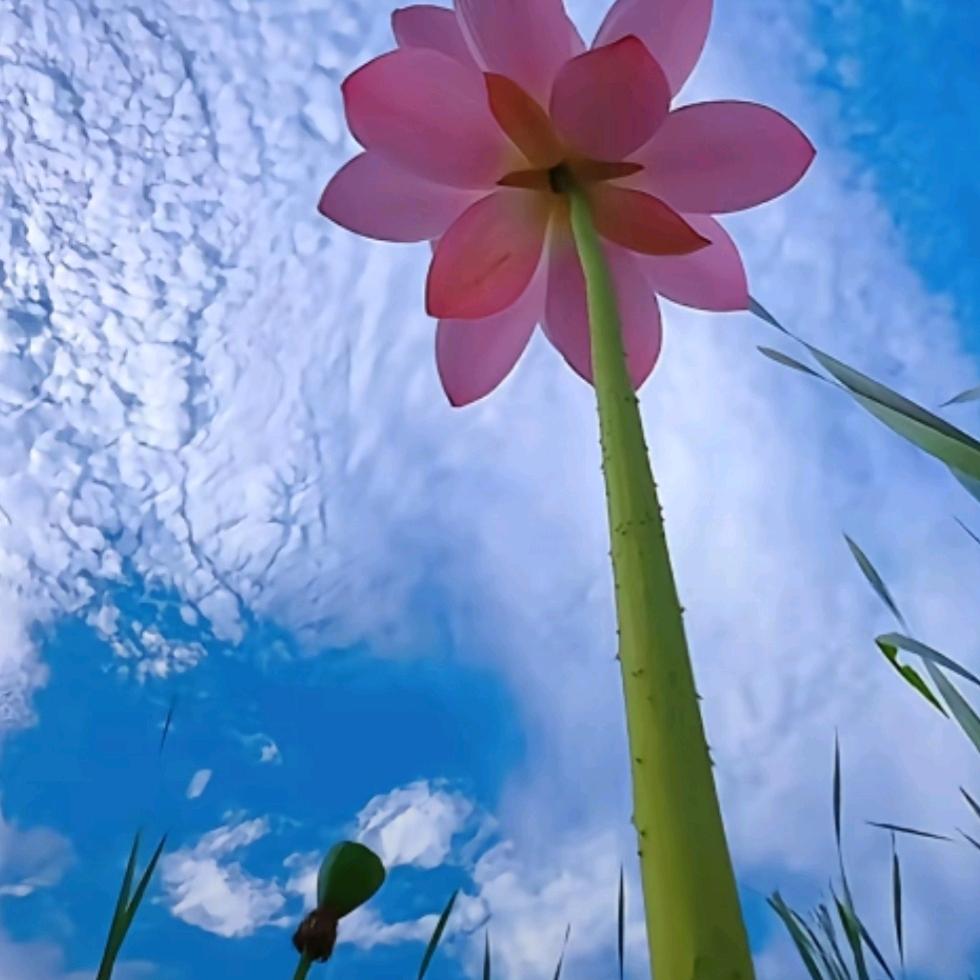 空白格填新章