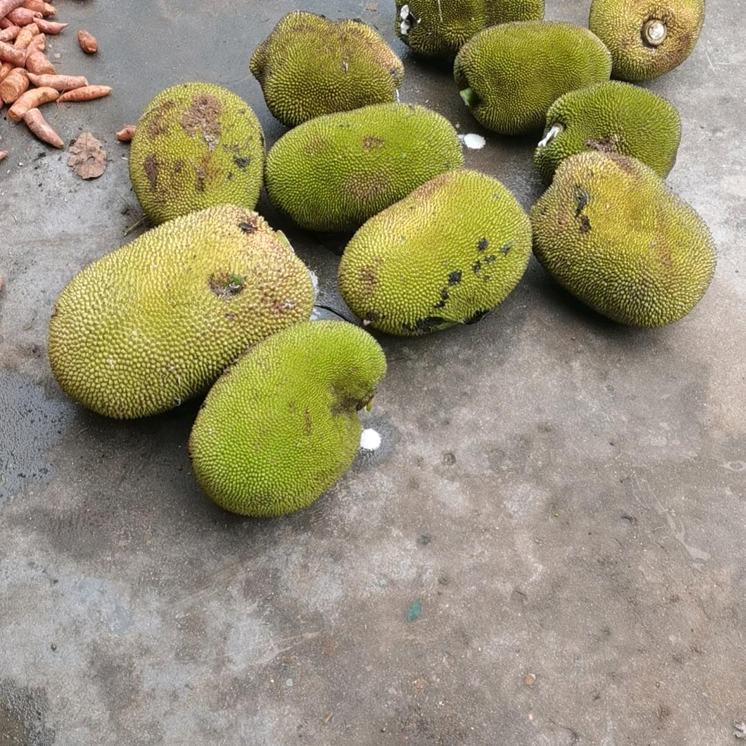 宝宝说·星澳成母婴优选宠粉2号