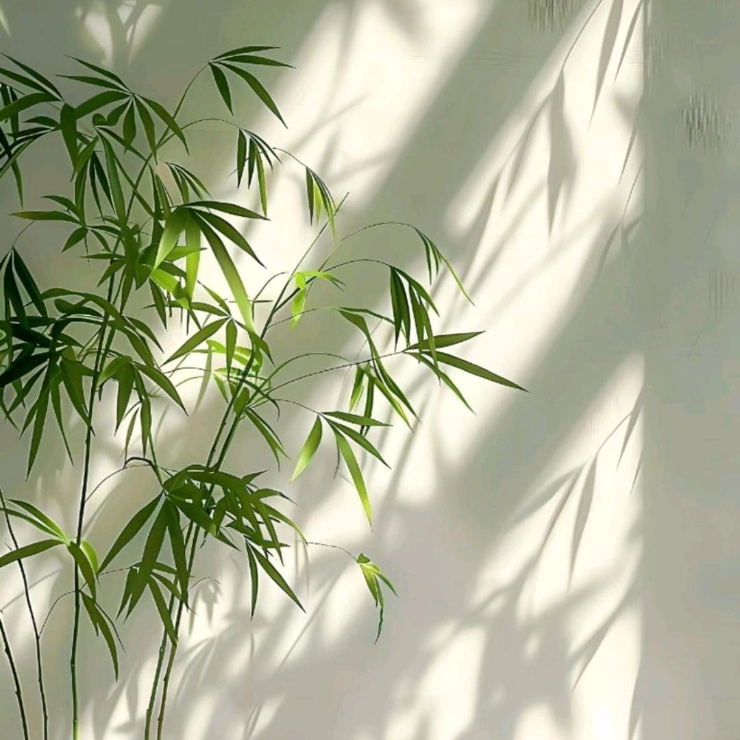 最初的梦想🎤🎤🎤