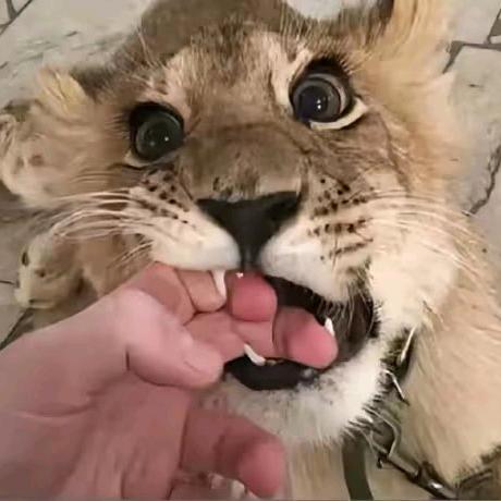 睡？？