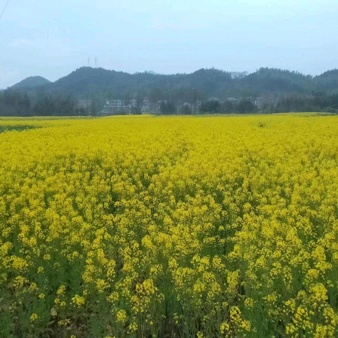 和我一样
