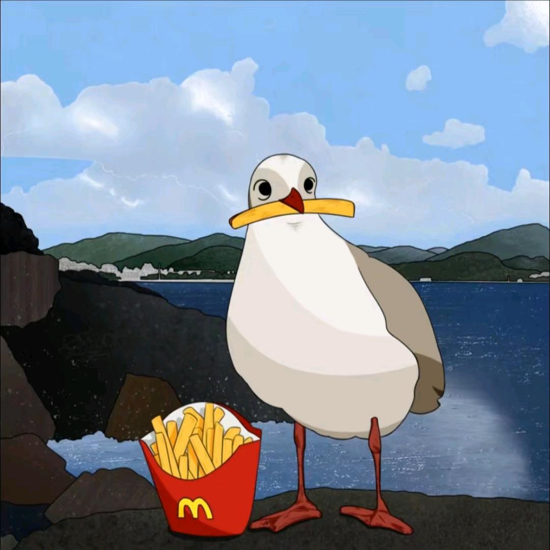 去码头整根薯条🍟