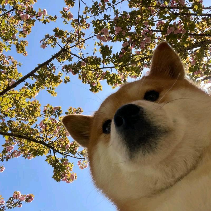 老四～