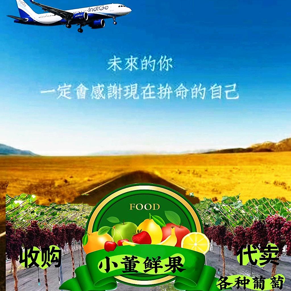 批发各种葡萄《葡萄帝》！