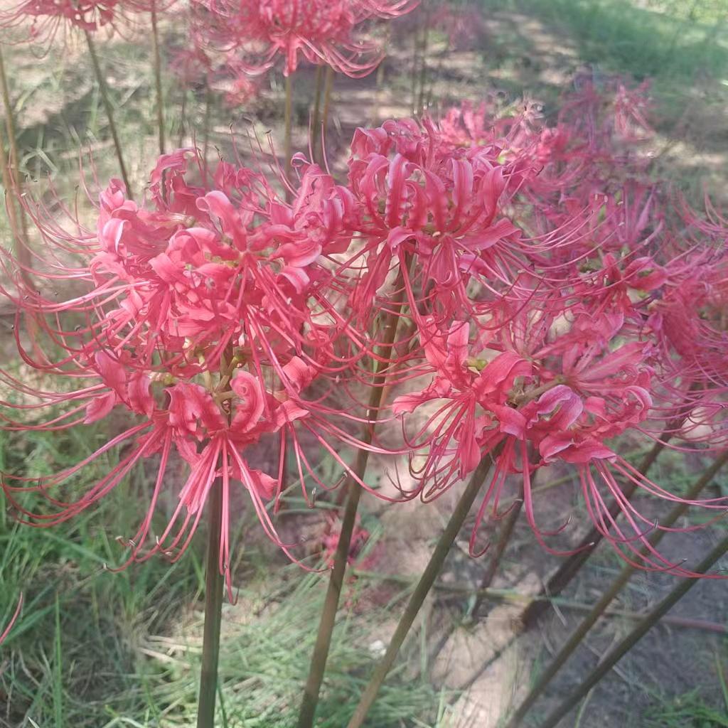 এ᭄ꦿღ上善若水❦ོꦿ
