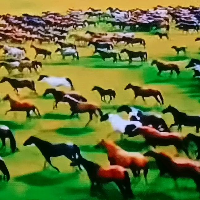 别让，他，她人伤透了心❤