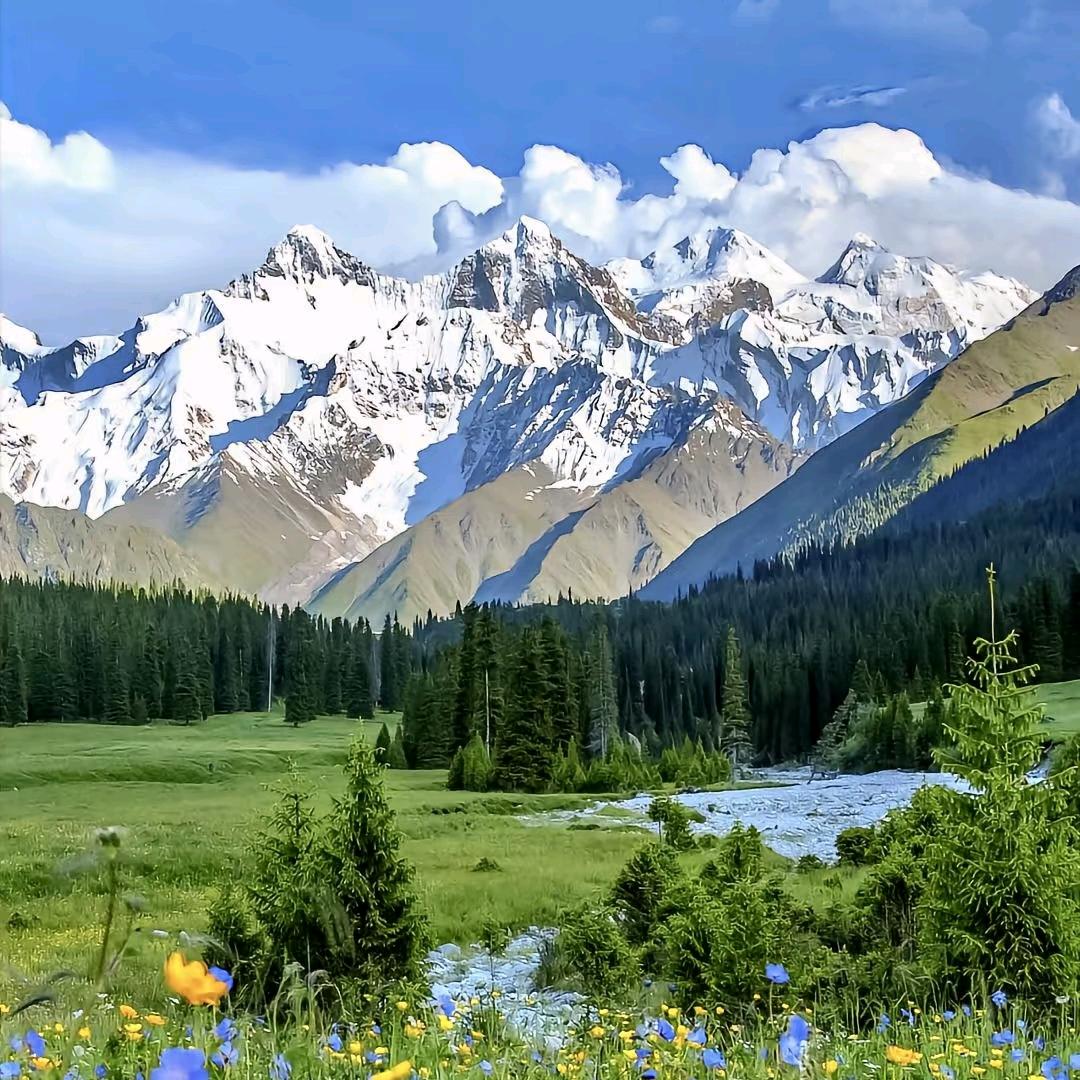 小李带你去旅行