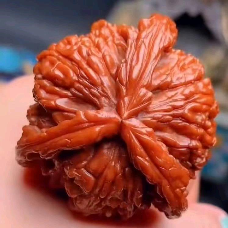 核桃华姐