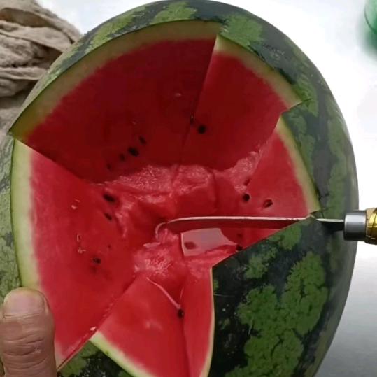 福建省泉州市洛江区罗溪镇西瓜王