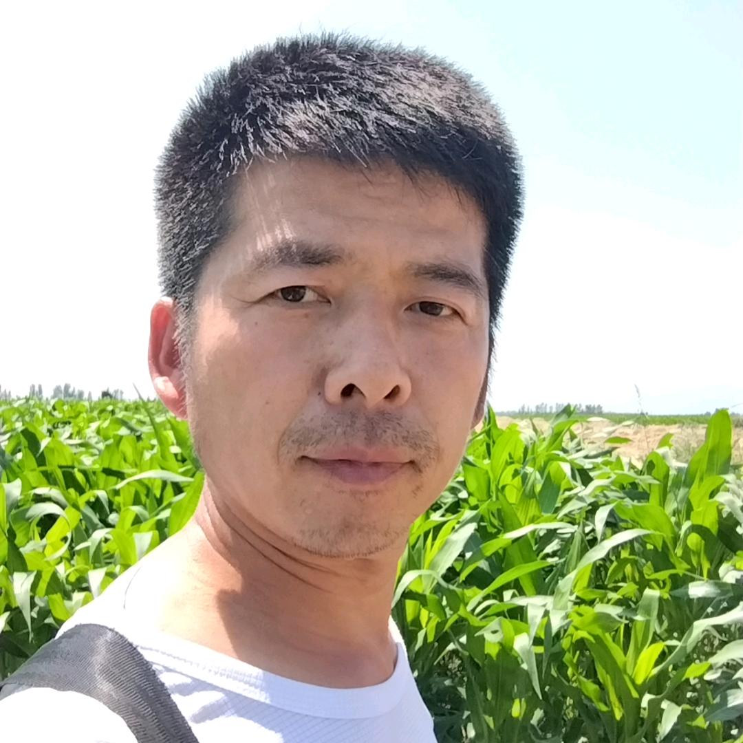 小孙   聊农业