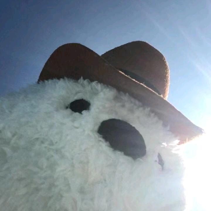 四叶草的幸运🍀