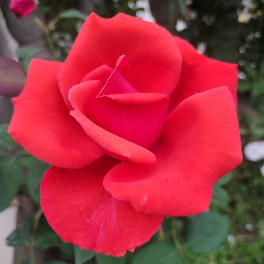 @🥀এ᭄累了谁💕疼