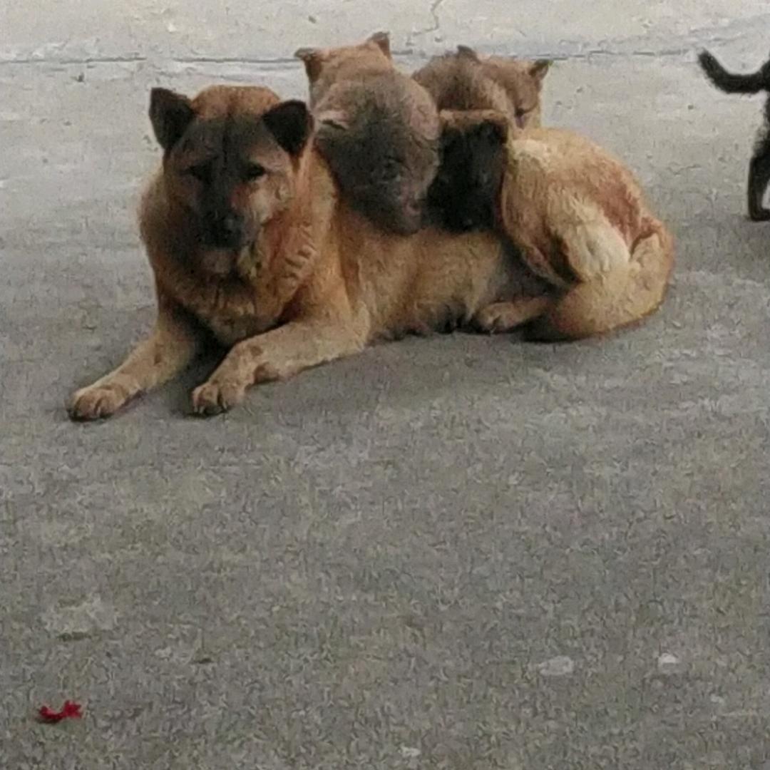 帅的被人砍