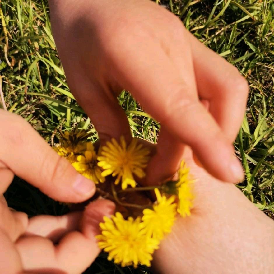 簸箕刘锦绣雅居-刘鑫