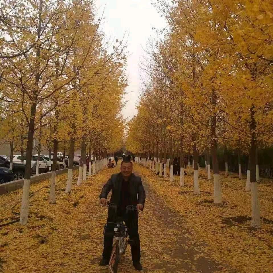 朱家二公子