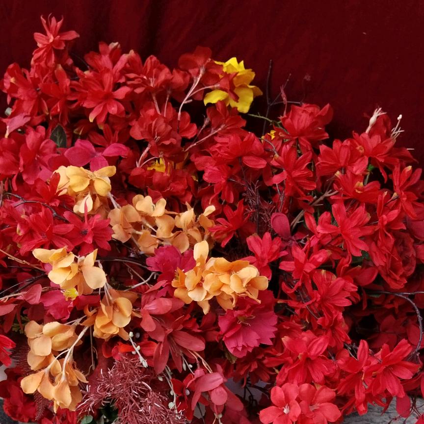 花开富贵好运来🍁