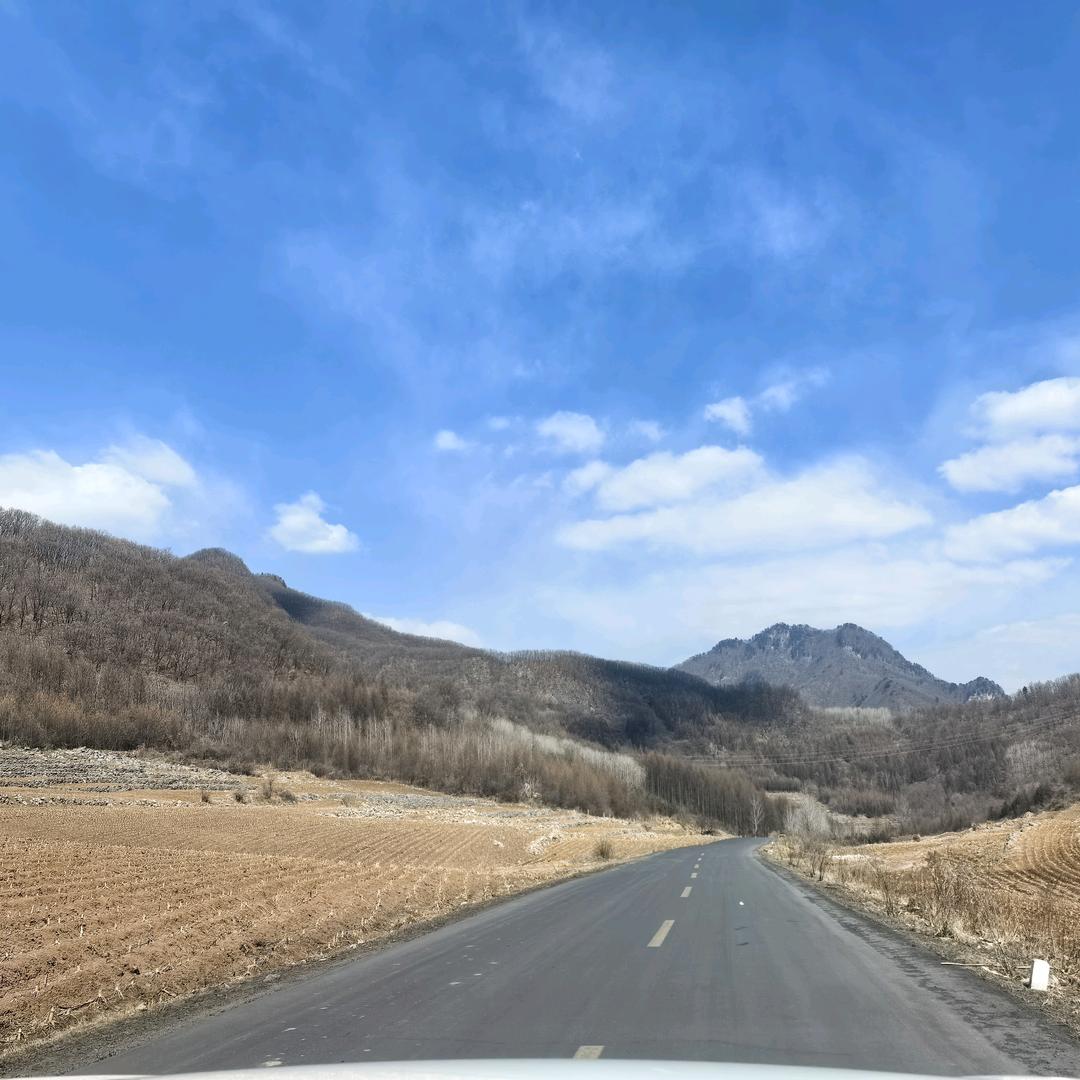 精灵古怪
