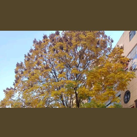 小
