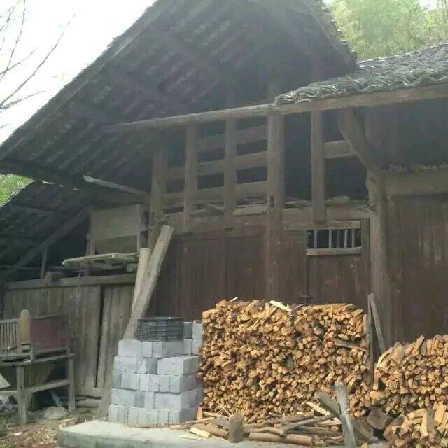 要么狠。要么残忍！
