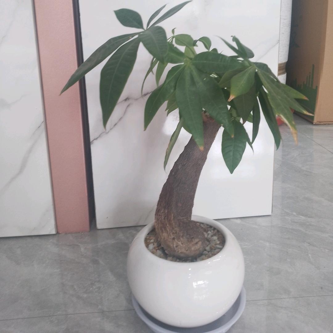 精选购物中心