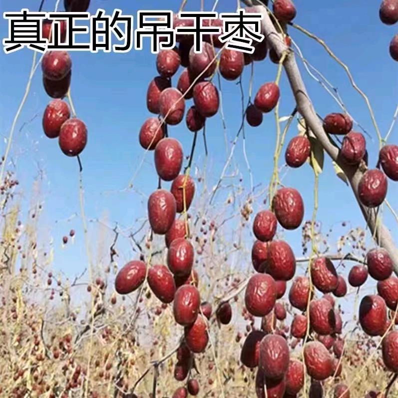 助三农土地流转