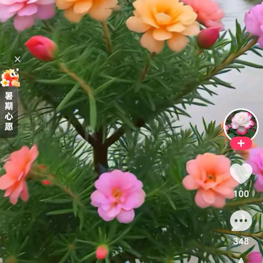 重新来过