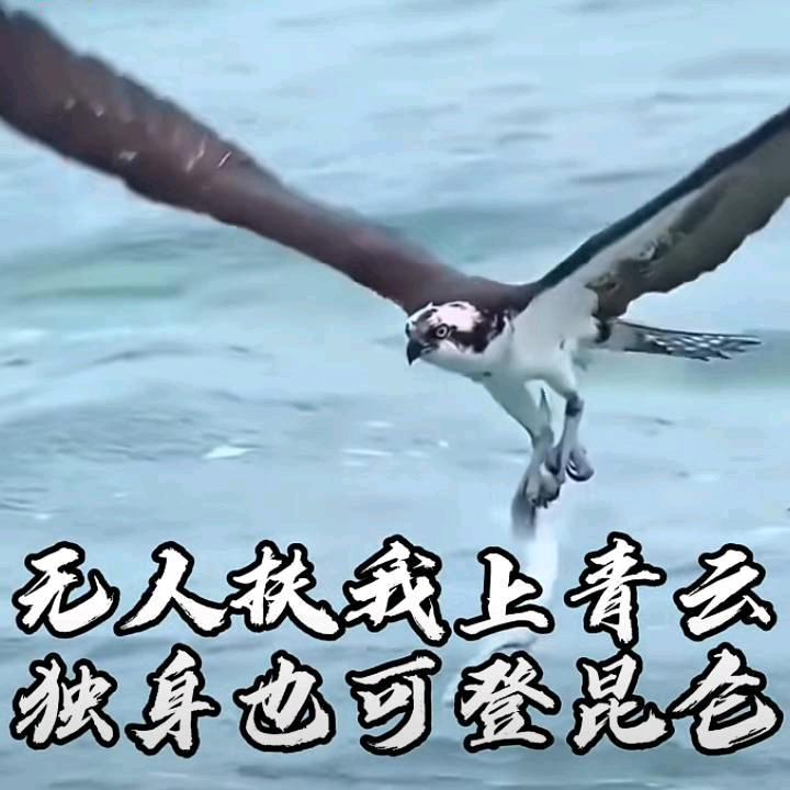 神秘人