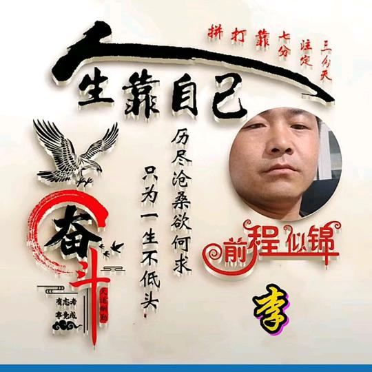 悄悄的飞翔
