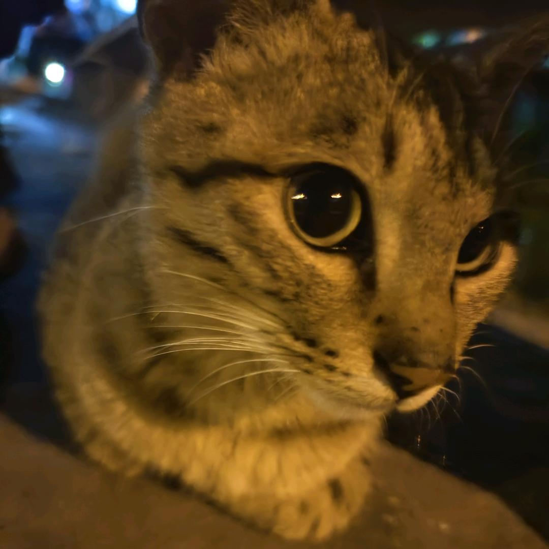 绝对值