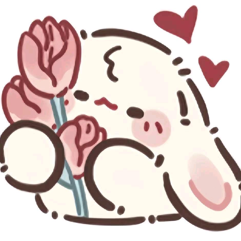 贝壳✨