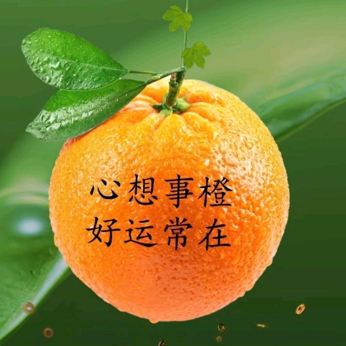 太阳雨