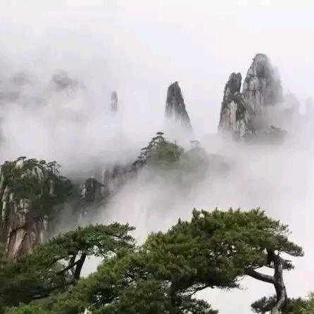 肖肖乐