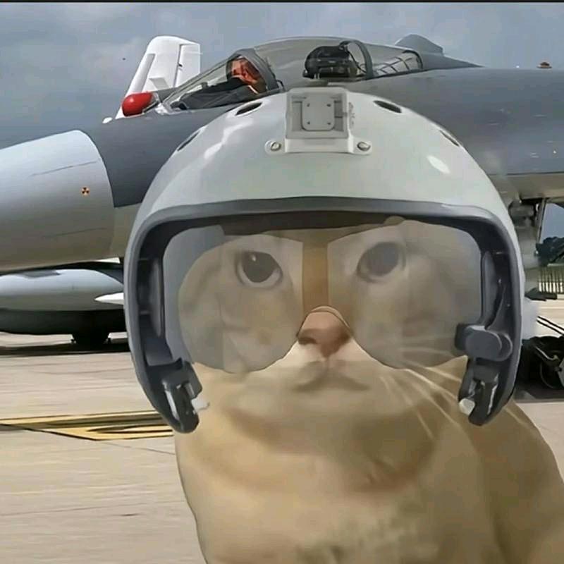 哈基峰（三角洲行动）